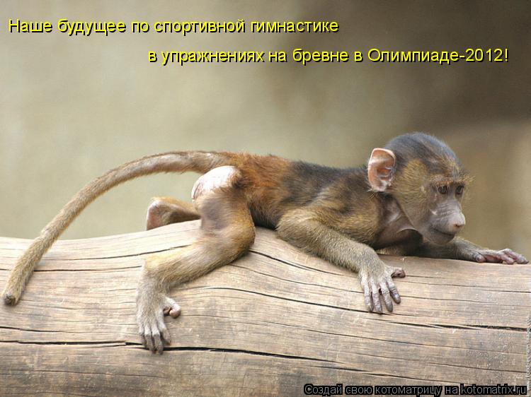 Наше будущее по спортивной гимнастике в упражнениях на бревне в Олимпиаде-2012!... Котоматрица: Наше будущее по спортивной гимнастике в упражнениях на бревне в Олимпиаде-2012!