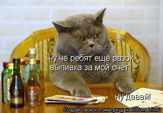 ну чё ребят ещё разок выпивка за мой счёт ну давай!... Котоматрица: ну чё ребят ещё разок выпивка за мой счёт ну давай!