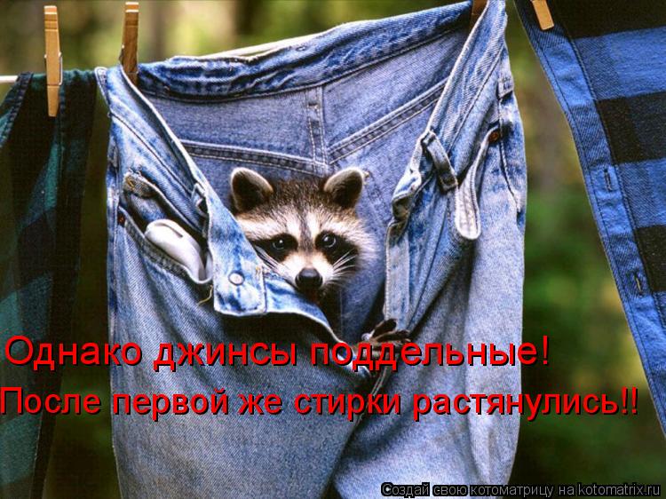 Однако джинсы поддельные! После первой же стирки растянулись!!... Котоматрица: Однако джинсы поддельные! После первой же стирки растянулись!!