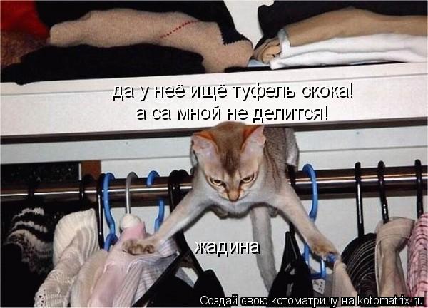 да у неё ищё туфель скока! а са мной не делится! жадина... Котоматрица: да у неё ищё туфель скока! а са мной не делится! жадина