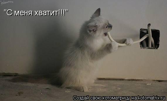 "С меня хватит!!!"... Котоматрица: "С меня хватит!!!"