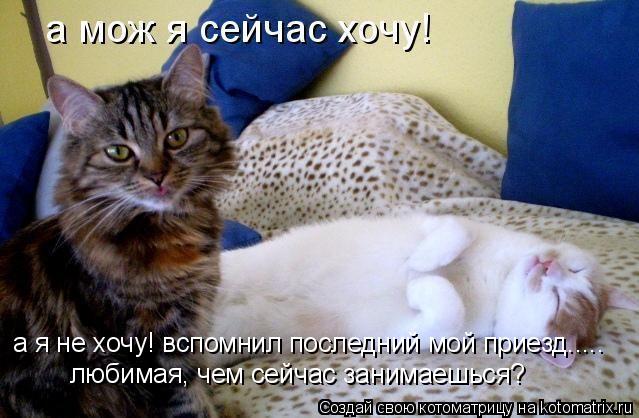 а я не хочу! вспомнил последний мой приезд..... любимая, чем сейчас занимаешься?... Котоматрица: а я не хочу! вспомнил последний мой приезд..... любимая, чем сейчас занимаешься?