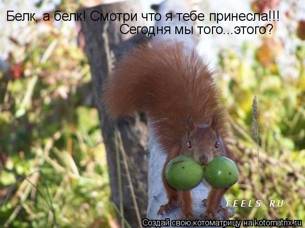 Белк, а белк! Смотри что я тебе принесла!!! Сегодня мы того...этого?... Котоматрица: Белк, а белк! Смотри что я тебе принесла!!! Сегодня мы того...этого?