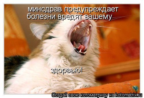 минсдрав предупреждает болезни вредят вашему здорвью!... Котоматрица: минсдрав предупреждает болезни вредят вашему здорвью!