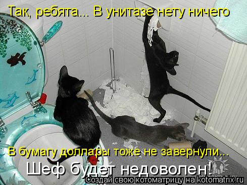 Так, ребята... В унитазе нету ничего В бумагу доллары тоже не завернули... Шеф будет недоволен!... Котоматрица: Так, ребята... В унитазе нету ничего В бумагу доллары тоже не завернули... Шеф будет недоволен!