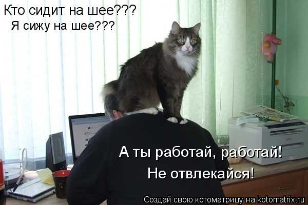 Кто сидит на шее??? Я сижу на шее??? А ты работай, работай! Не отвлекайся!... Котоматрица: Кто сидит на шее??? Я сижу на шее??? А ты работай, работай! Не отвлекайся!