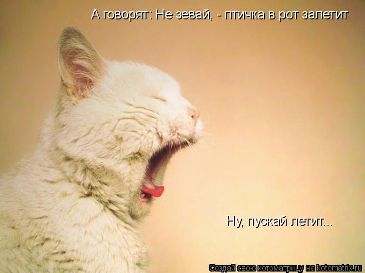 А говорят: Не зевай, - птичка в рот залетит Ну, пускай летит...... Котоматрица: А говорят: Не зевай, - птичка в рот залетит Ну, пускай летит...