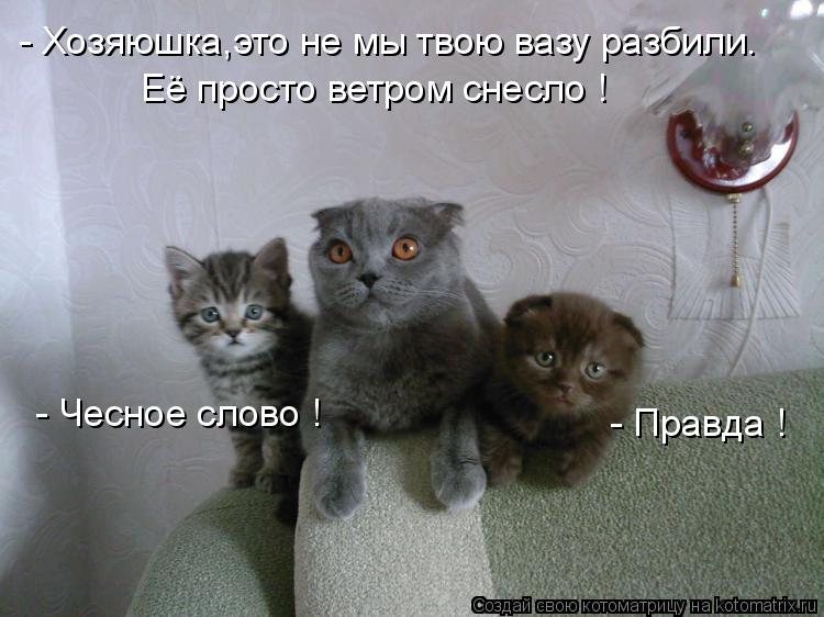 - Хозяюшка,это не мы твою вазу разбили. Её просто ветром снесло ! - Правда ! - Чесное слово !... Котоматрица: - Хозяюшка,это не мы твою вазу разбили. Её просто ветром снесло ! - Правда ! - Чесное слово !