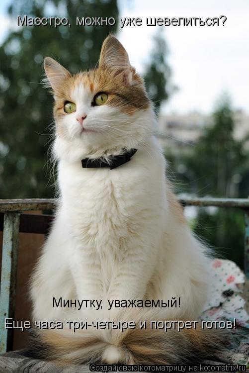 Маэстро, можно уже шевелиться? Минутку, уважаемый! Еще часа три-четыре и портрет готов!... Котоматрица: Маэстро, можно уже шевелиться? Минутку, уважаемый! Еще часа три-четыре и портрет готов!