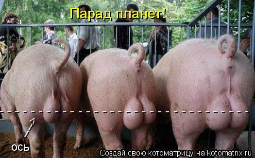----> ось - - - - - - - - - - - - - - - - - - - - - - - - - - - - - - - - Парад планет!... Котоматрица: ----> ось - - - - - - - - - - - - - - - - - - - - - - - - - - - - - - - - Парад планет!