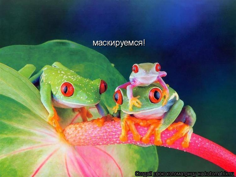 маскируемся!... Котоматрица: маскируемся!