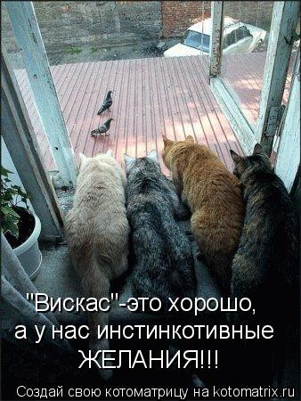 "Вискас"-это хорошо, а у нас инстинкотивные ЖЕЛАНИЯ!!!... Котоматрица: "Вискас"-это хорошо, а у нас инстинкотивные ЖЕЛАНИЯ!!!