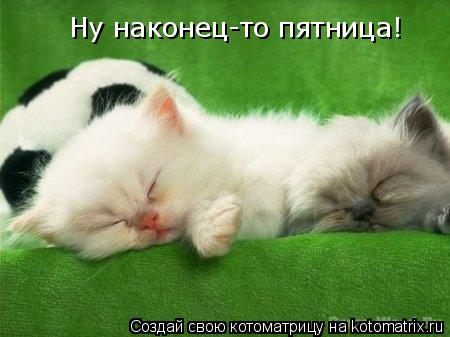 Ну наконец-то пятница!... Котоматрица: Ну наконец-то пятница!