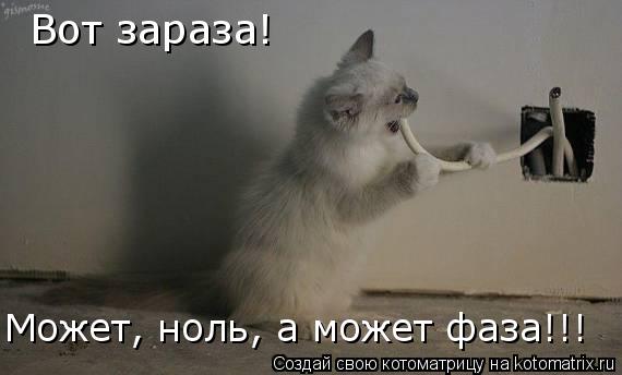 Вот зараза! Может, ноль, а может фаза!!!... Котоматрица: Вот зараза! Может, ноль, а может фаза!!!