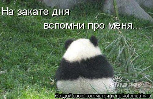 На закате дня вспомни про меня...... Котоматрица: На закате дня вспомни про меня...