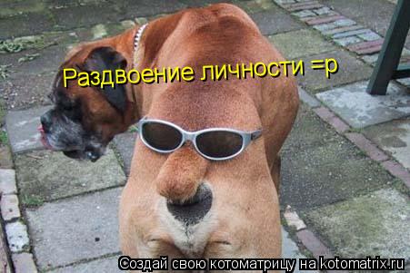 Раздвоение личности =р... Котоматрица: Раздвоение личности =р