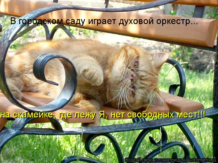 В городском саду играет духовой оркестр... на скамейке, где лежу Я, нет свободных мест!!!... Котоматрица: В городском саду играет духовой оркестр... на скамейке, где лежу Я, нет свободных мест!!!