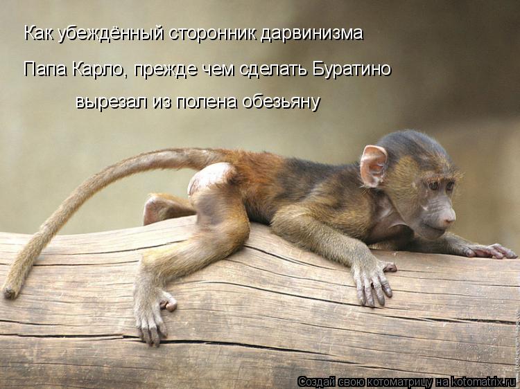 Как убеждённый сторонник дарвинизма Папа Карло, прежде чем сделать Буратино вырезал из полена обезьян... Котоматрица: Как убеждённый сторонник дарвинизма Папа Карло, прежде чем сделать Буратино вырезал из полена обезьяну