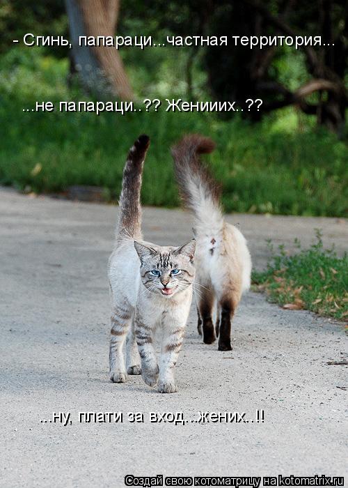 - Сгинь, папараци...частная территория... ...не папараци..?? Женииих..?? ...ну, плати за вход...жених... Котоматрица: - Сгинь, папараци...частная территория... ...не папараци..?? Женииих..?? ...ну, плати за вход...жених..!!