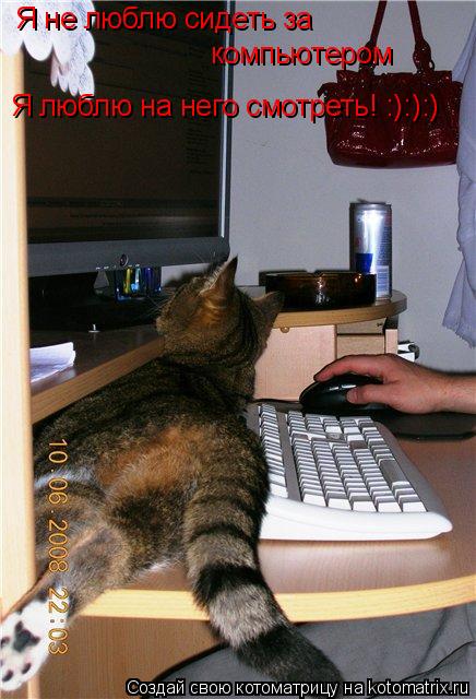 Я не люблю сидеть за компьютером Я люблю на него смотреть! :):):)... Котоматрица: Я не люблю сидеть за компьютером Я люблю на него смотреть! :):):)