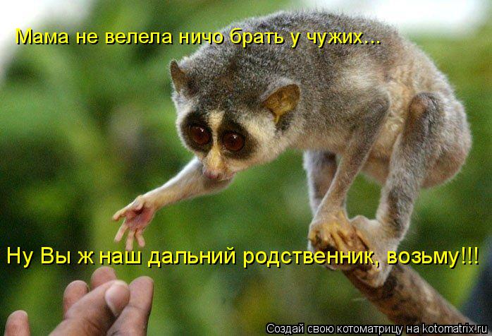 Мама не велела ничо брать у чужих... Ну Вы ж наш дальний родственник, возьму!!!... Котоматрица: Мама не велела ничо брать у чужих... Ну Вы ж наш дальний родственник, возьму!!!