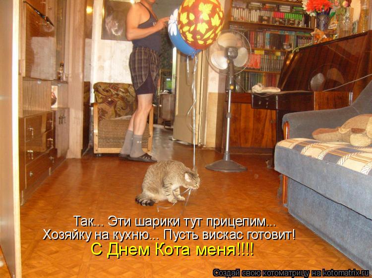 Так... Эти шарики тут прицепим... Хозяйку на кухню... Пусть вискас готовит! С Днем Кота меня!!!!... Котоматрица: Так... Эти шарики тут прицепим... Хозяйку на кухню... Пусть вискас готовит! С Днем Кота меня!!!!