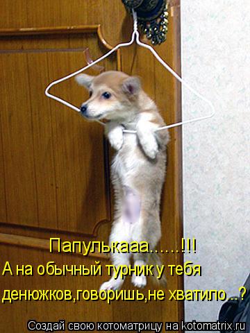 Папулькааа......!!! А на обычный турник у тебя денюжков,говоришь,не хватило...?... Котоматрица: Папулькааа......!!! А на обычный турник у тебя денюжков,говоришь,не хватило...?
