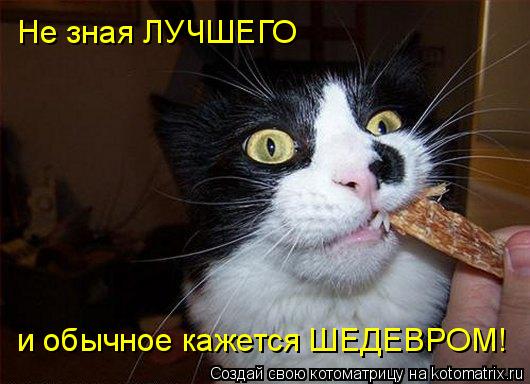Не зная ЛУЧШЕГО и обычное кажется ШЕДЕВРОМ!... Котоматрица: Не зная ЛУЧШЕГО и обычное кажется ШЕДЕВРОМ!