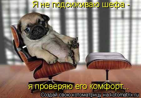 Я не подсиживаю шефа - я проверяю его комфорт...... Котоматрица: Я не подсиживаю шефа - я проверяю его комфорт...