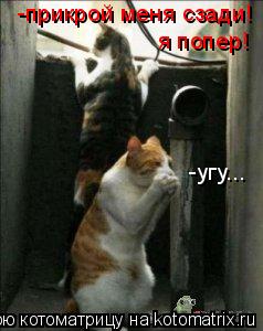 -угу... -прикрой меня сзади! я попер!... Котоматрица: -угу... -прикрой меня сзади! я попер!