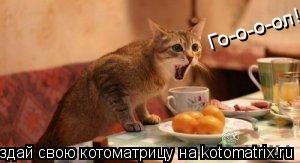 Го-о-о-ол!!!!!... Котоматрица: Го-о-о-ол!!!!!