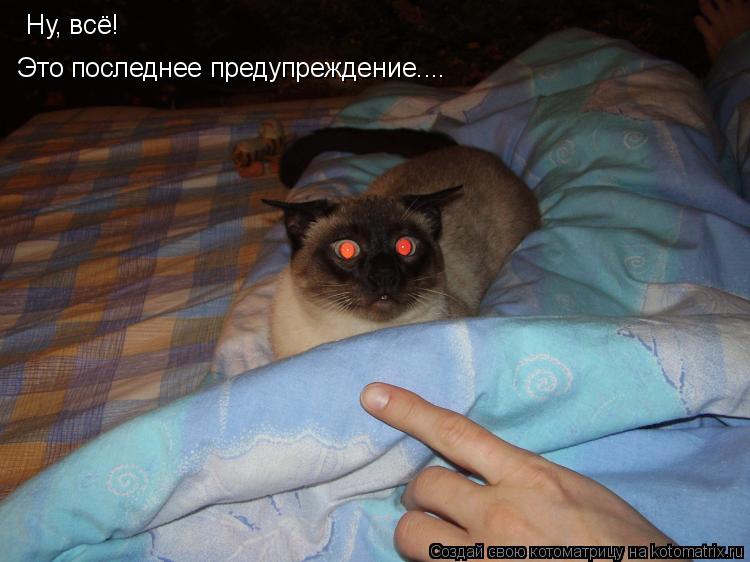 Ну, всё! Это последнее предупреждение....... Котоматрица: Ну, всё! Это последнее предупреждение....
