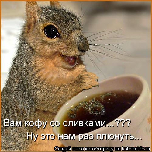 Вам кофу со сливками...??? Ну это нам раз плюнуть...... Котоматрица: Вам кофу со сливками...??? Ну это нам раз плюнуть...