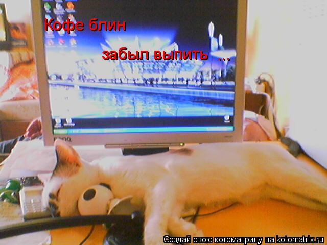 Кофе блин забыл выпить ...... Котоматрица: Кофе блин забыл выпить ...