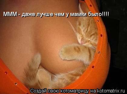 МММ - даже лучше чем у мамки было!!!!... Котоматрица: МММ - даже лучше чем у мамки было!!!!