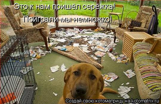 Это к нам пришёл серёжка! Поиграли мы немножко!... Котоматрица: Это к нам пришёл серёжка! Поиграли мы немножко!