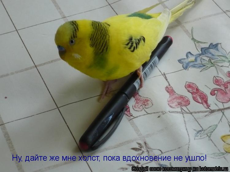Ну, дайте же мне холст, пока вдохновение не ушло!... Котоматрица: Ну, дайте же мне холст, пока вдохновение не ушло!