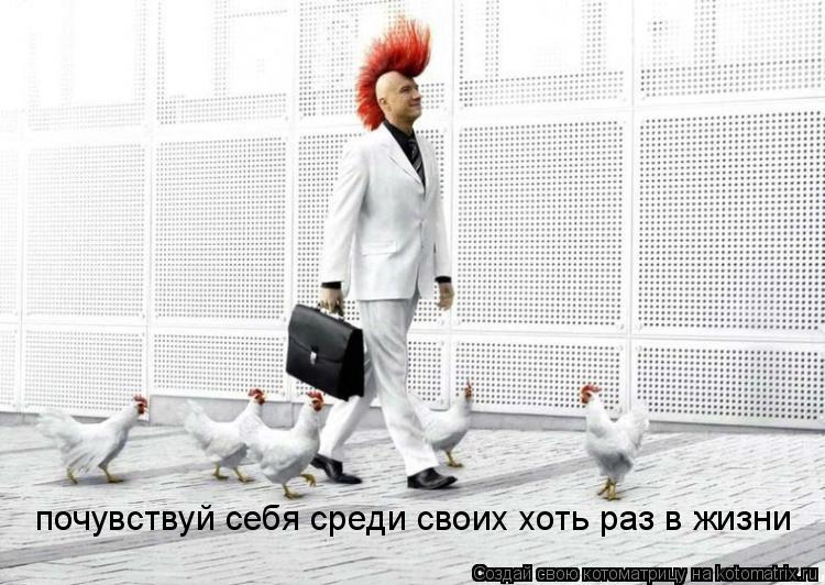 почувствуй себя среди своих хоть раз в жизни... Котоматрица: почувствуй себя среди своих хоть раз в жизни