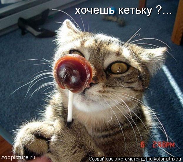 хочешь кетьку ?...... Котоматрица: хочешь кетьку ?...