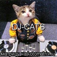 Котоматрица: DJ-CATS