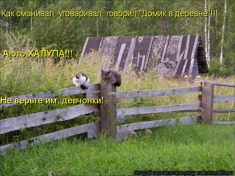 Как сманивал, уговаривал, говорил:"Домик в деревне"!!! Как сманивал, уговаривал, говорил:"Домик в дер... Котоматрица: Как сманивал, уговаривал, говорил:"Домик в деревне"!!! Как сманивал, уговаривал, говорил:"Домик в деревне"!!! А это ХАЛУПА!!! Не верьте им, девчон