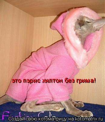 это пэрис хилтон без грима!... Котоматрица: это пэрис хилтон без грима!