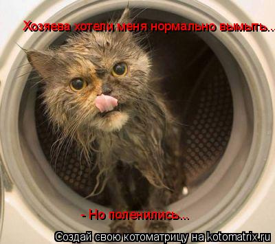 Хозяева хотели меня нормально вымыть... - Но поленились...... Котоматрица: Хозяева хотели меня нормально вымыть... - Но поленились...