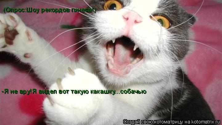 (Опрос:Шоу рекордов гинеса!) -Я не вру!Я видел вот такую какашку...собачью... Котоматрица: (Опрос:Шоу рекордов гинеса!) -Я не вру!Я видел вот такую какашку...собачью