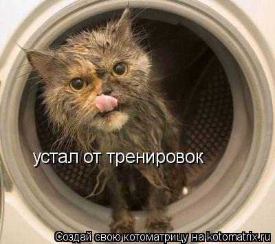 устал от тренировок... Котоматрица: устал от тренировок