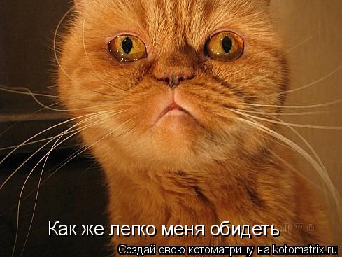 Как же легко меня обидеть... Котоматрица: Как же легко меня обидеть