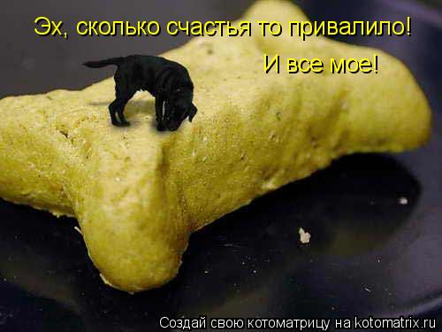 Эх, сколько счастья то привалило! И все мое!... Котоматрица: Эх, сколько счастья то привалило! И все мое!