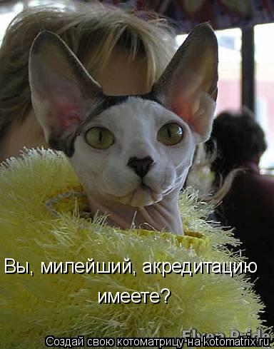 Вы, милейший, акредитацию имеете?... Котоматрица: Вы, милейший, акредитацию имеете?