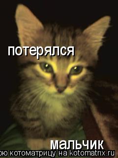 потерялся мальчик... Котоматрица: потерялся мальчик