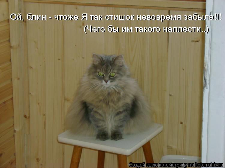 Ой, блин - чтоже Я так стишок невовремя забыла!!! (Чего бы им такого наплести..)... Котоматрица: Ой, блин - чтоже Я так стишок невовремя забыла!!! (Чего бы им такого наплести..)